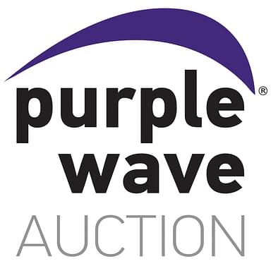 Purple Wave Auction